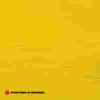 Cover for Everything Is Recorded By Richard Russell
